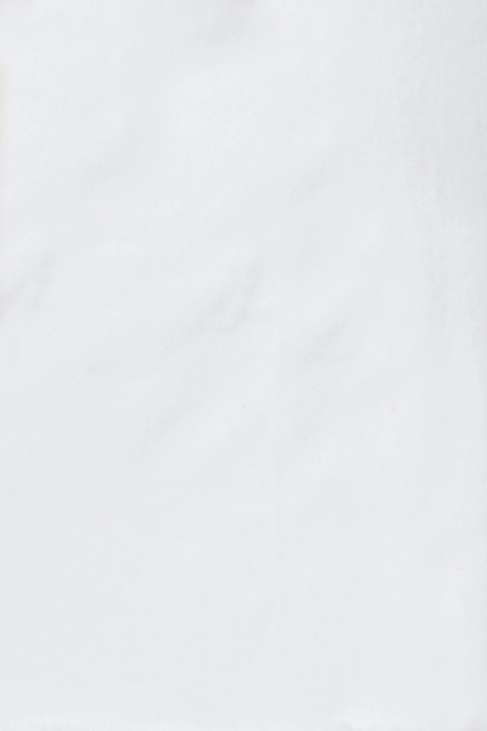 Duke Denim Shorts - Salt