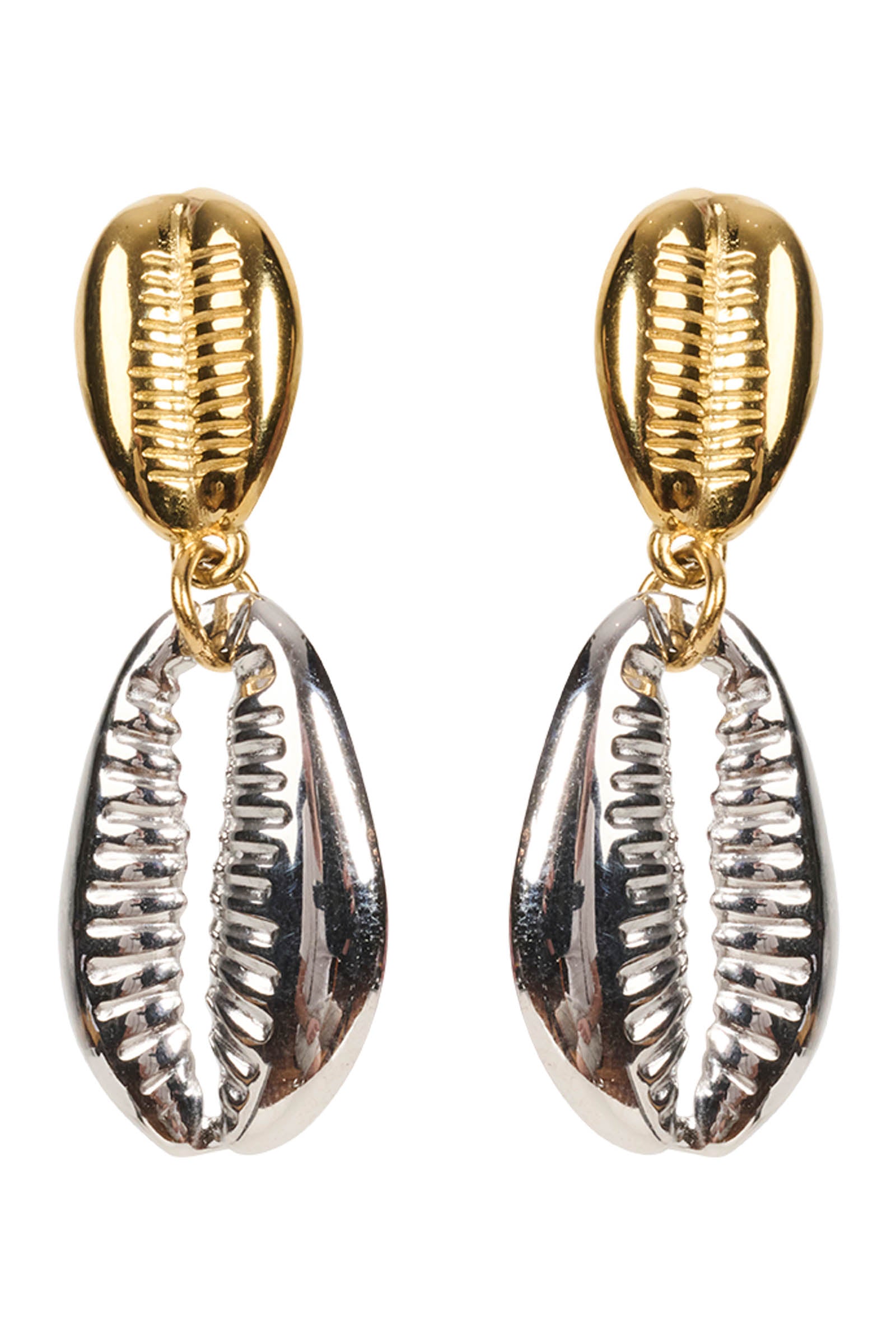 Bahama Sea Earrings - Cowrie