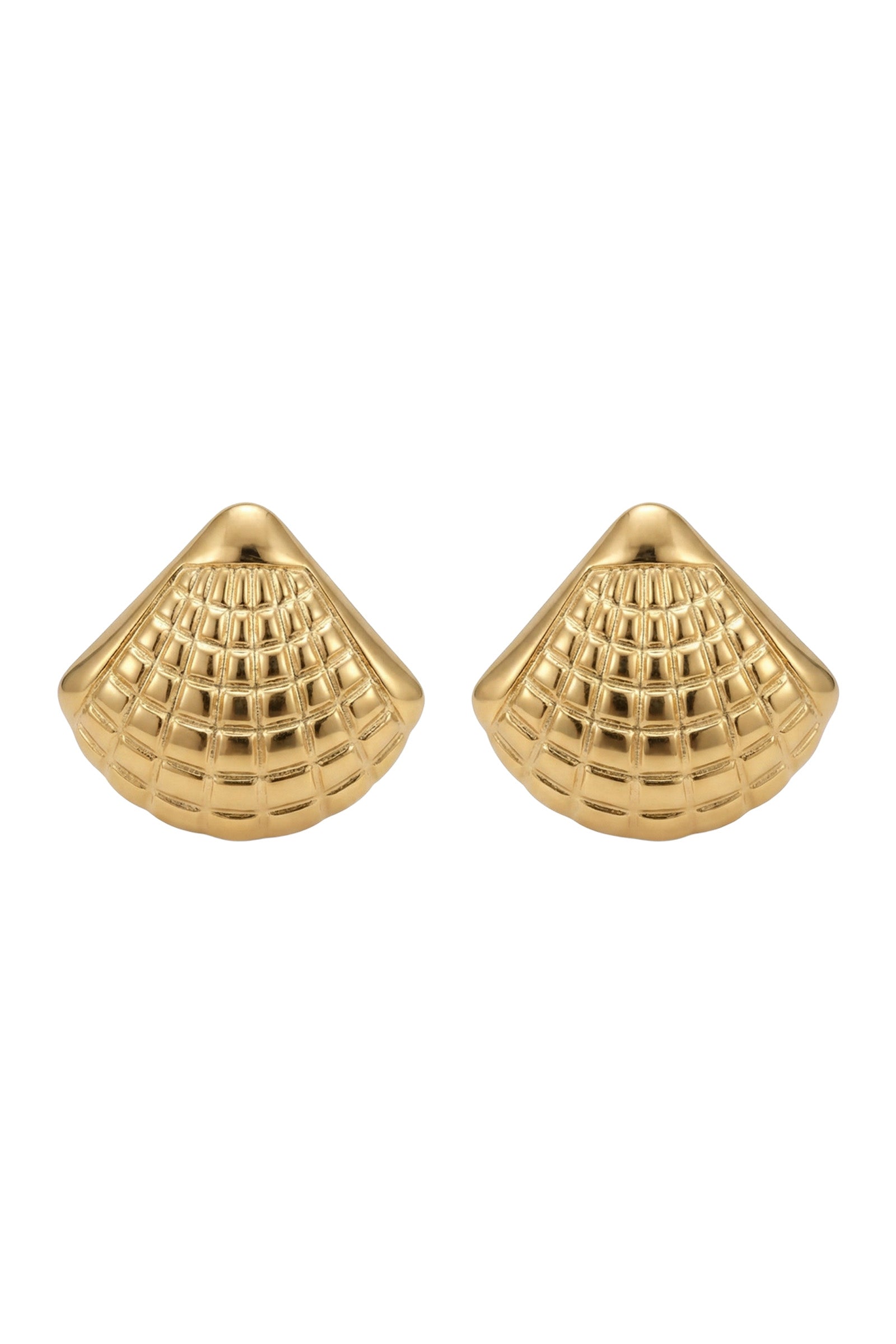 Crete Shell Earring - Cockle