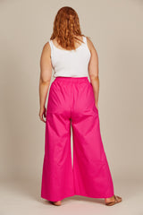 Remi Pant - Raspberry